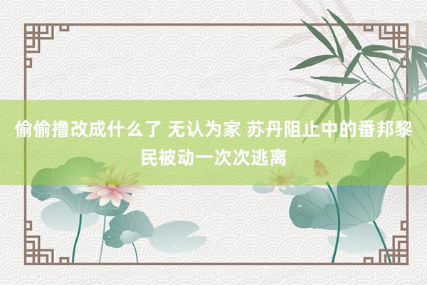 偷偷撸改成什么了 无认为家 苏丹阻止中的番邦黎民被动一次次逃离