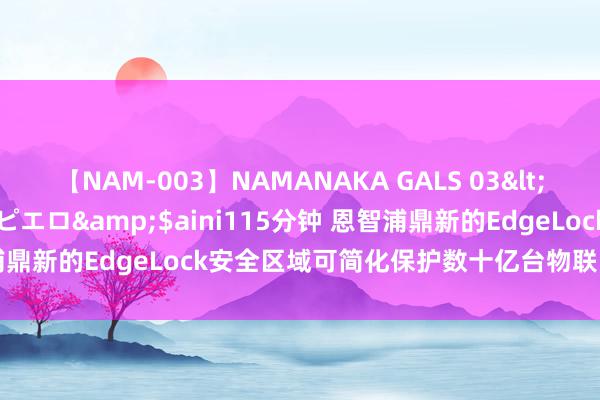 【NAM-003】NAMANAKA GALS 03</a>2010-08-27ピエロ&$aini115分钟 恩智浦鼎新的EdgeLock安全区域可简化保护数十亿台物联网设备的复杂性