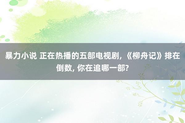 暴力小说 正在热播的五部电视剧, 《柳舟记》排在倒数, 你在追哪一部?