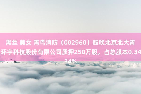 黑丝 美女 青鸟消防（002960）鼓吹北京北大青鸟环宇科技股份有限公司质押250万股，占总股本0.34%