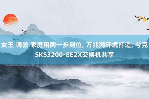 女王 调教 家庭用网一步到位, 万兆网环境打造, 兮克SKS3200-8E2X交换机共享
